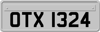 OTX1324