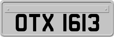 OTX1613