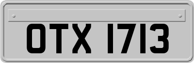 OTX1713