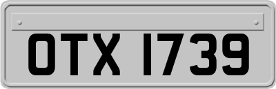 OTX1739