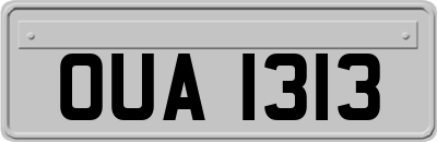 OUA1313