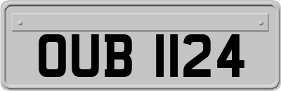 OUB1124