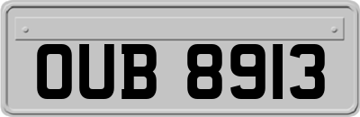 OUB8913