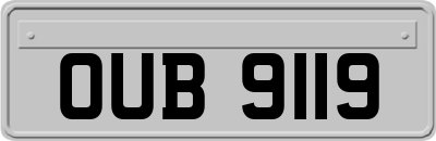 OUB9119