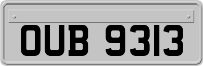 OUB9313