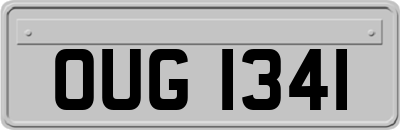 OUG1341