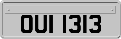 OUI1313