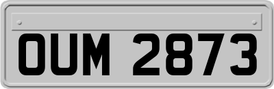 OUM2873