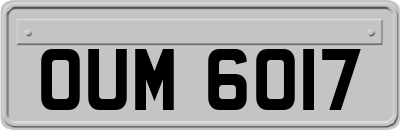 OUM6017