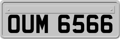 OUM6566