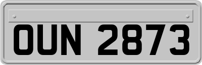 OUN2873