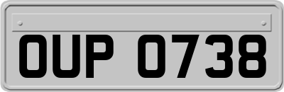 OUP0738