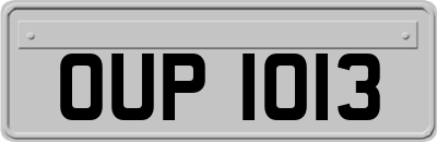 OUP1013