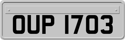OUP1703