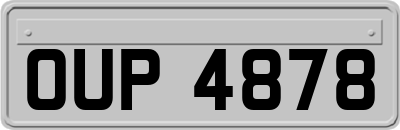 OUP4878