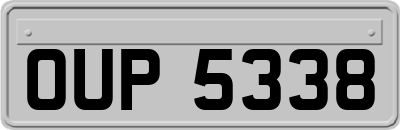 OUP5338