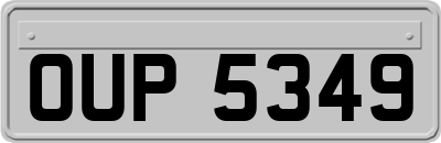 OUP5349