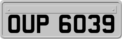 OUP6039