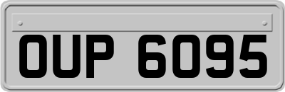 OUP6095