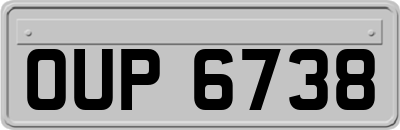 OUP6738