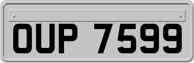 OUP7599