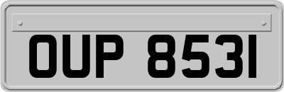 OUP8531