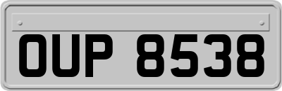 OUP8538