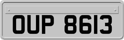 OUP8613