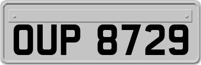 OUP8729