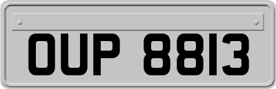 OUP8813