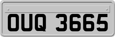OUQ3665