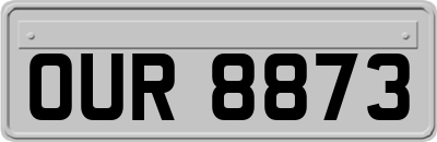 OUR8873