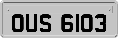 OUS6103