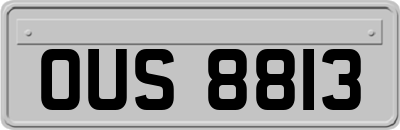 OUS8813