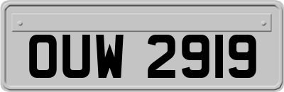 OUW2919