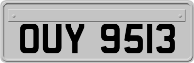 OUY9513