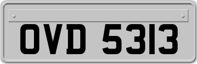 OVD5313