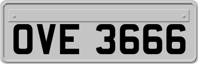 OVE3666