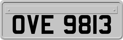 OVE9813