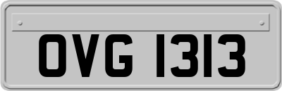 OVG1313