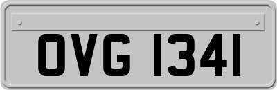 OVG1341