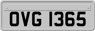 OVG1365