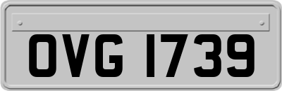 OVG1739