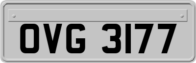 OVG3177