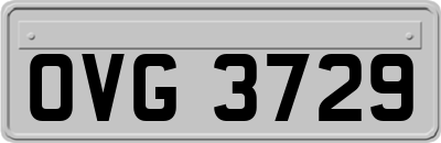 OVG3729