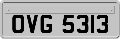 OVG5313