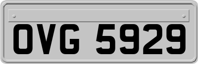 OVG5929