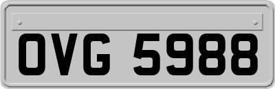 OVG5988