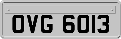 OVG6013