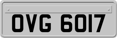 OVG6017